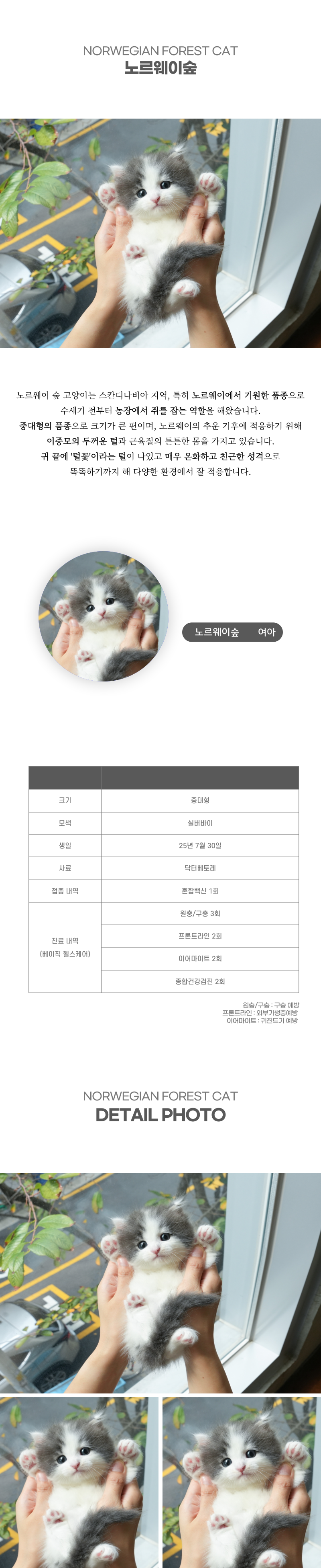 노르웨이숲_상세이미지_2